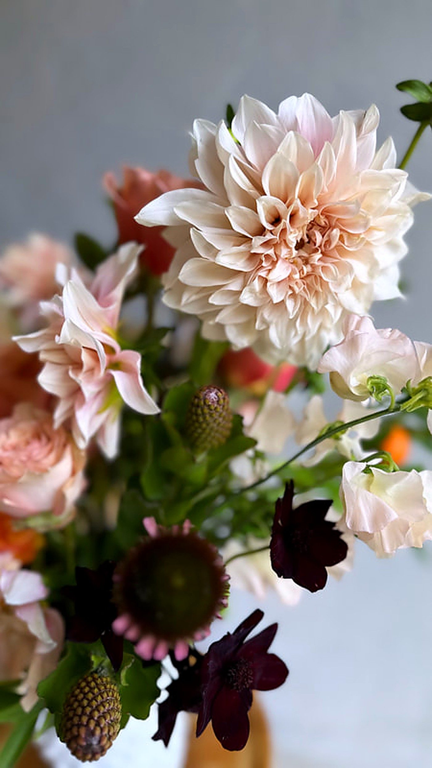 Spring Look floral style — fresh blush dahlias in bloom